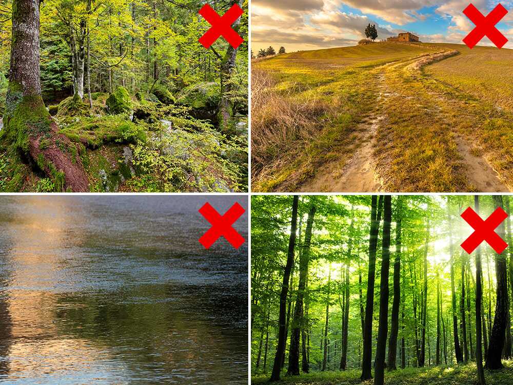 Eurosystems P70 EVO - Benzin Laubsauger - B&S 850E I/C – Bild 3