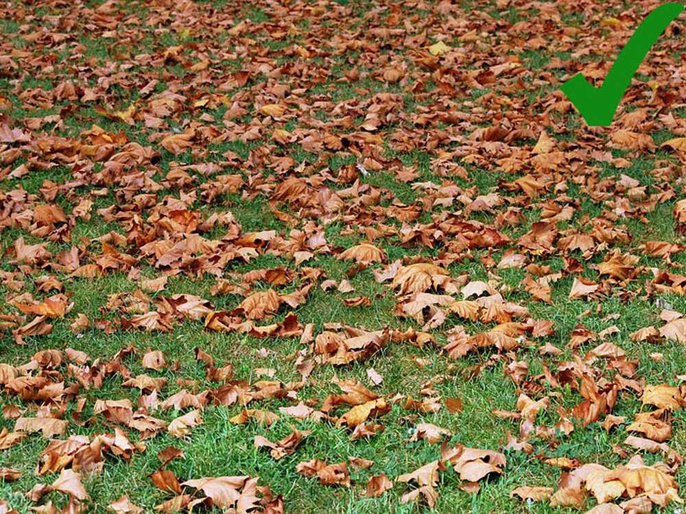 Eurosystems P70 EVO - Benzin Laubsauger - Loncin 224 OHV – Bild 4