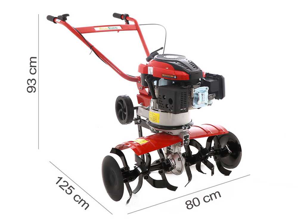 Motorhacke AgriEuro Rotalux 52A L60 mit Loncin Motor 196 ccm - 1 Vorwärtsgang