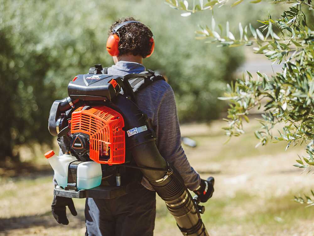 Rückentragbares Blasgerät ECHO PB 8010